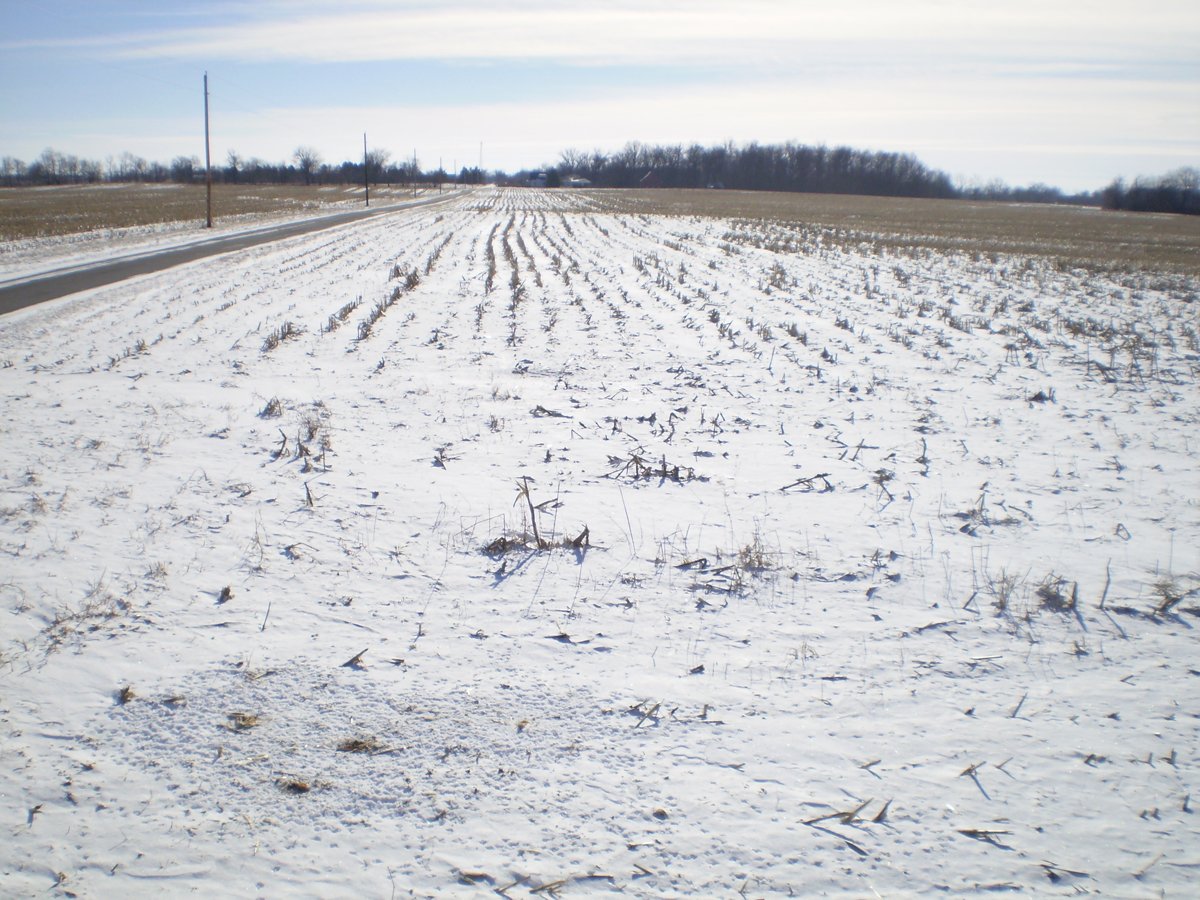 Property photo 24 - 76 Acres Offered in 4 Tracts